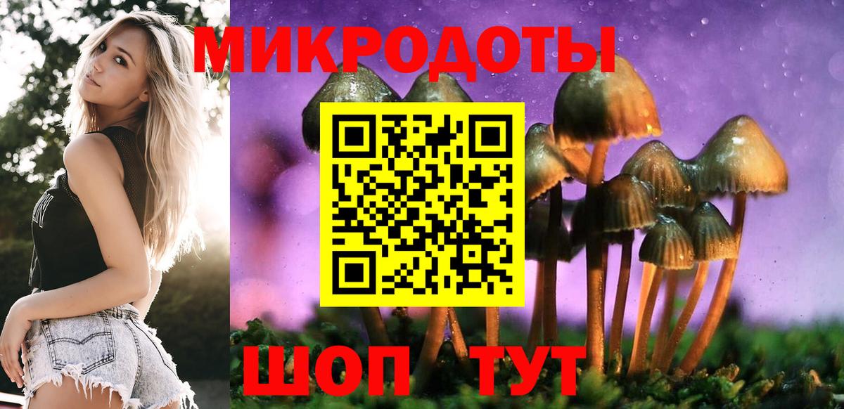Галлюциногенные грибы MAGIC MUSHROOMS  Вход с VPN  Галлюциногенные грибы Cubensis  Каменка 