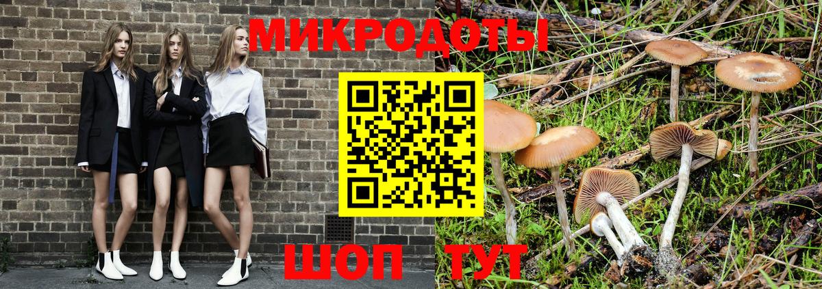 Псилоцибиновые грибы GOLDEN TEACHER Каменка